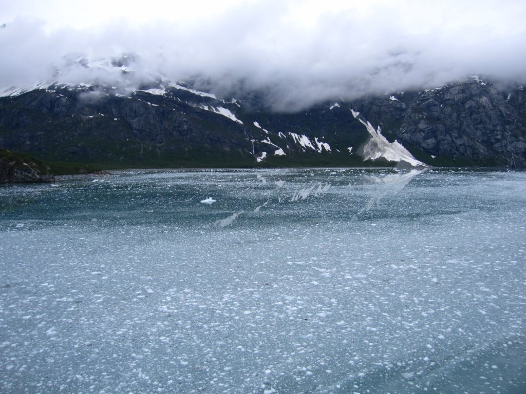 glacierbay19.jpg