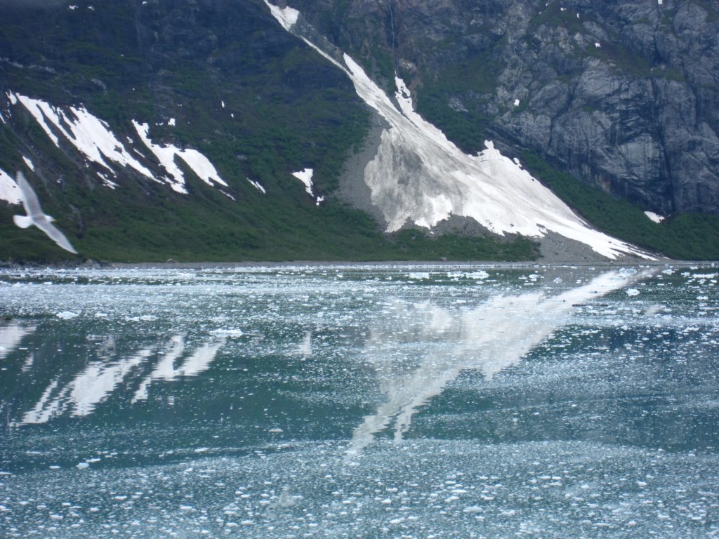 glacierbayreflections.jpg