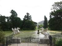 powerscourt10_small.jpg