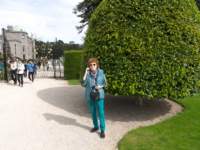 powerscourt3_small.jpg