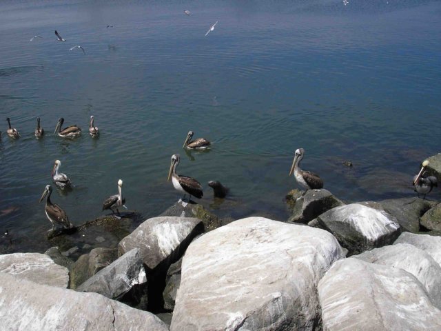sa0220.jpg