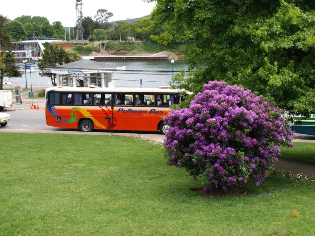 sa056.jpg