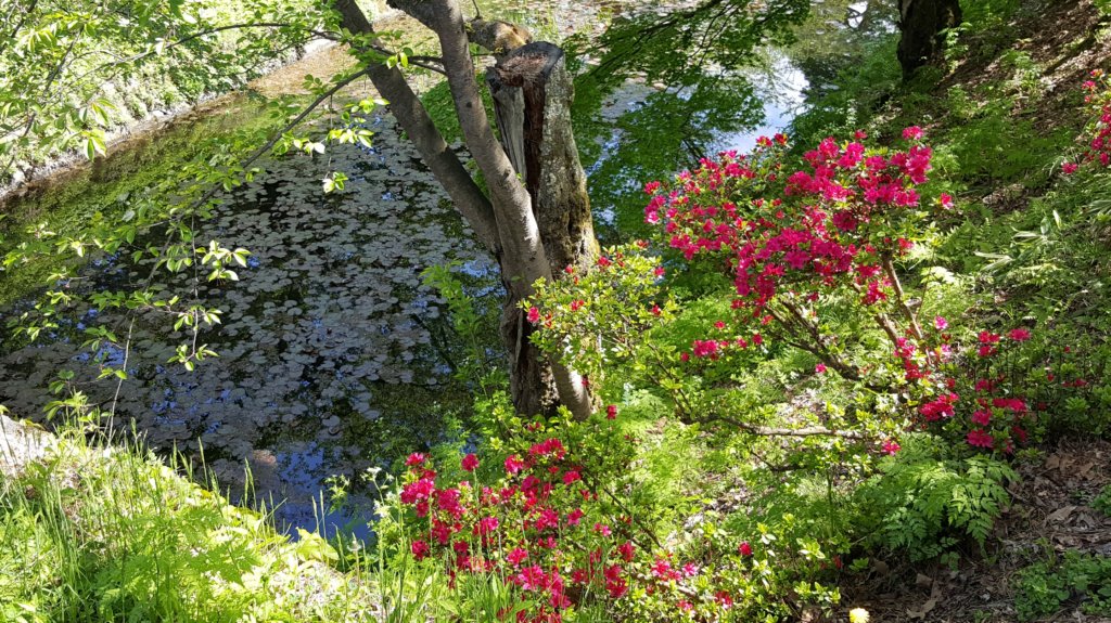 hirosakicastle5.jpg